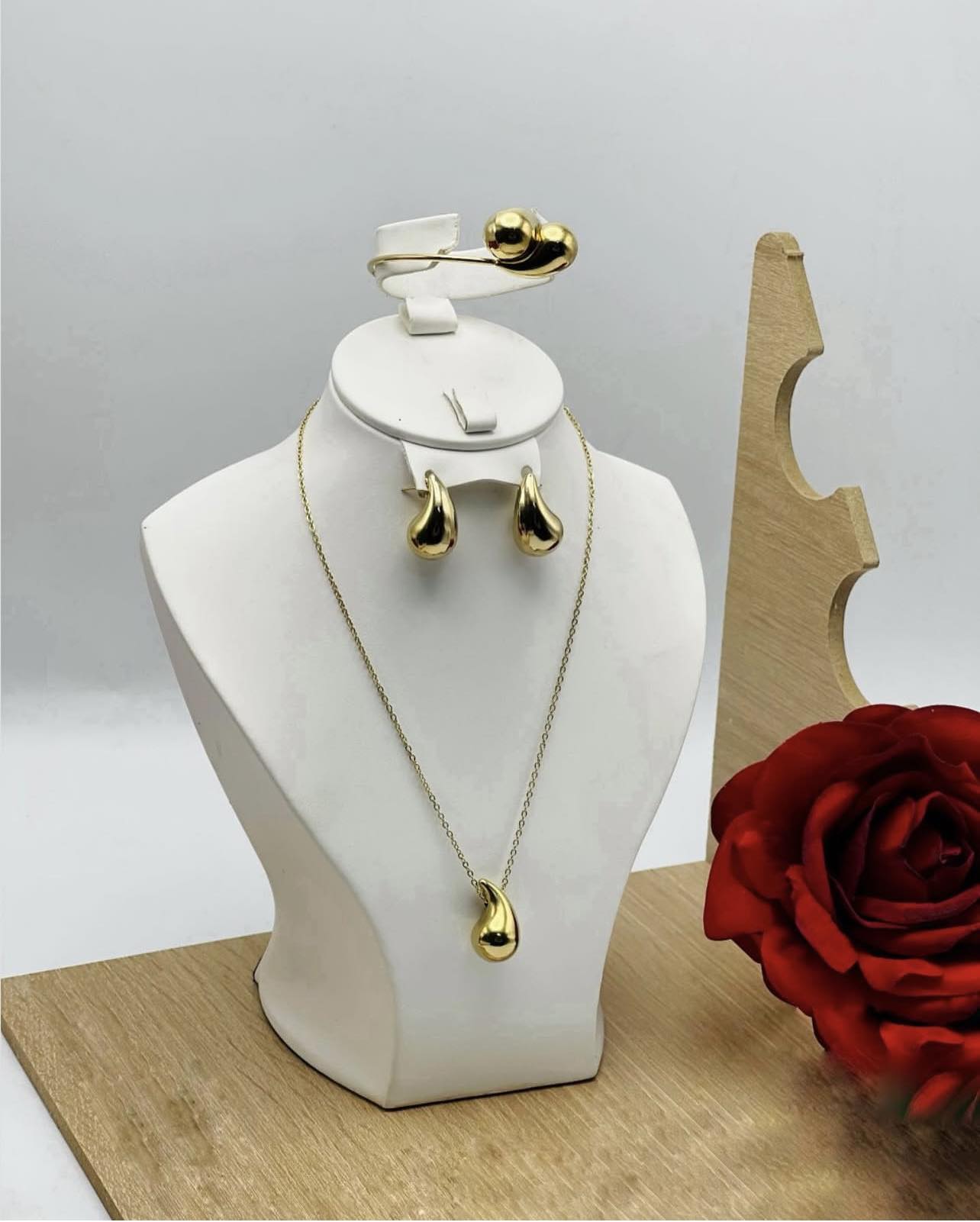 ⚜️Bottiga Aci inoxydable ⚜️