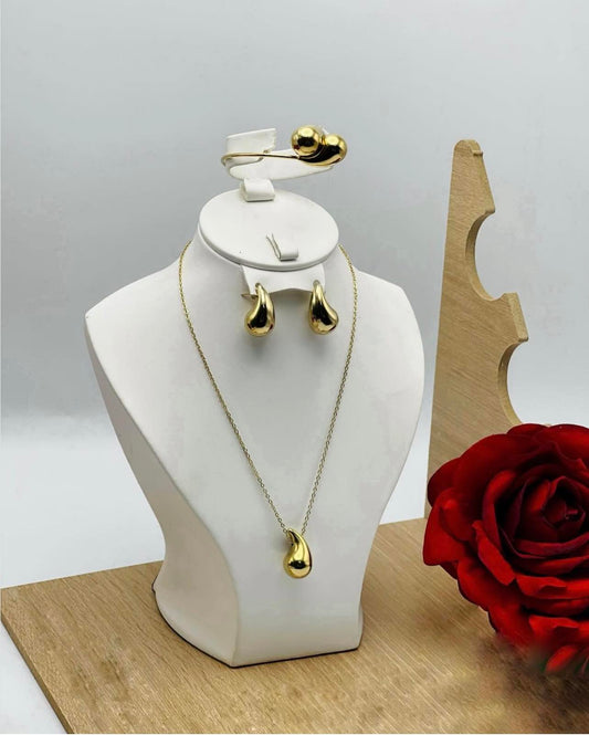 ⚜️Bottiga Aci inoxydable ⚜️